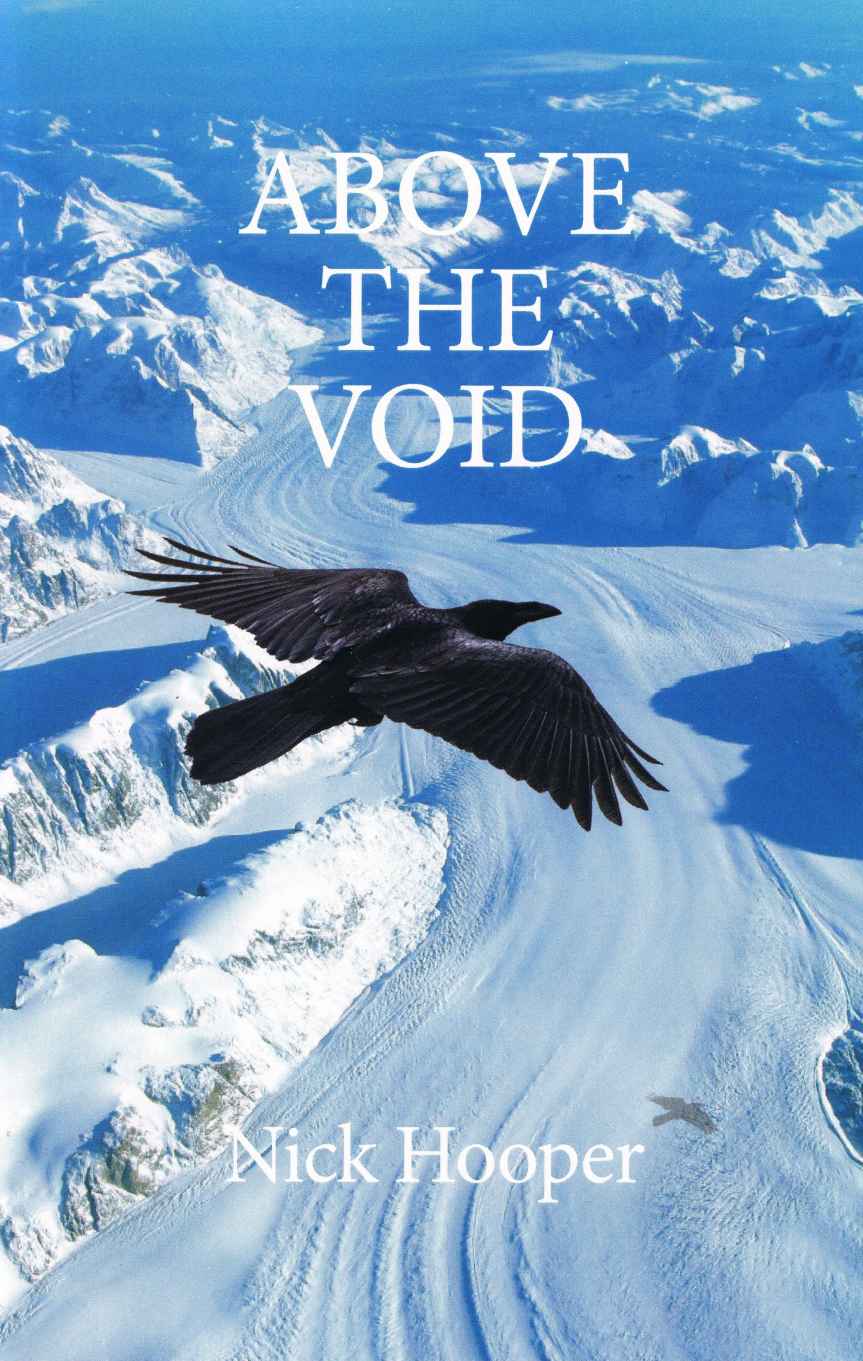 Above the Void Book Cover